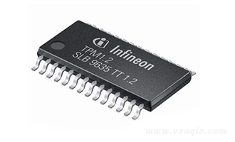 SLB9635TT1.2