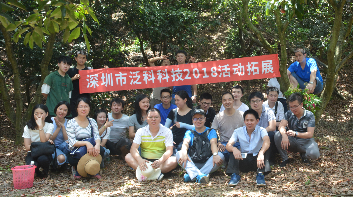 The company's development activities